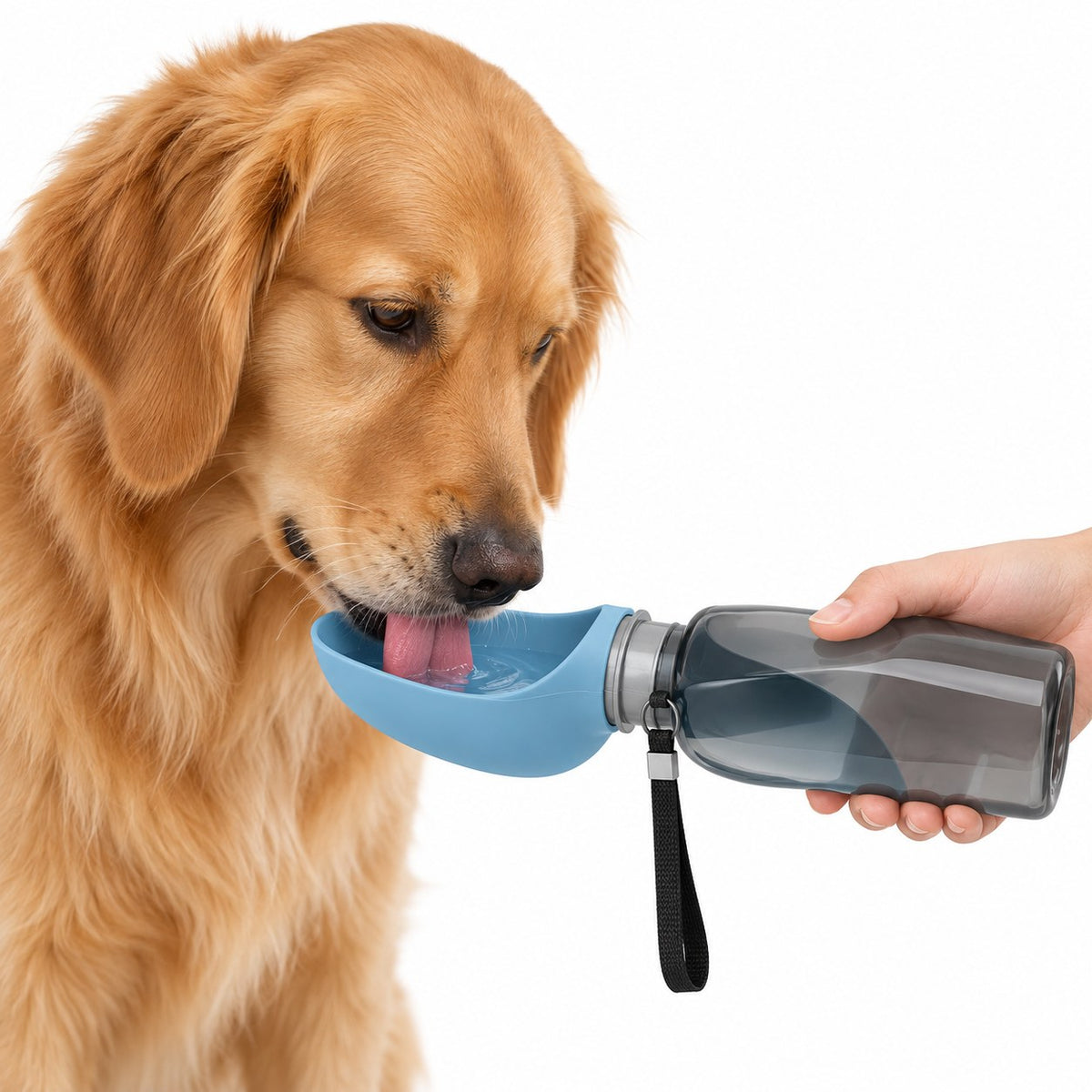 Golden Retriever drinking from the blue Dogswite portable water bottle